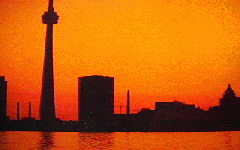 [The Toronto Skyline]
