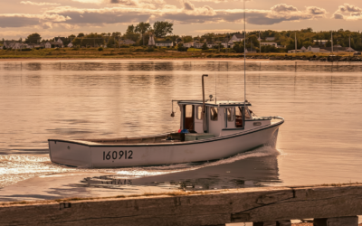 Confederation Bridge data