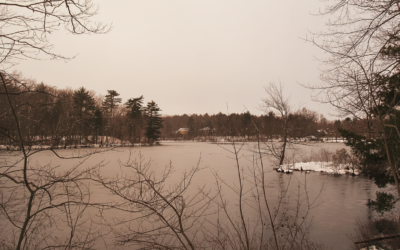Fawn Lake, Nicola Valley BC