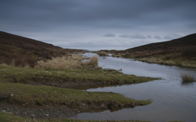 Jimmy Lake, Cariboo BC