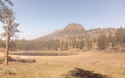 White Lake, Okanagan BC